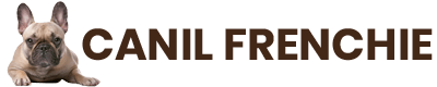 Canil Frenchie